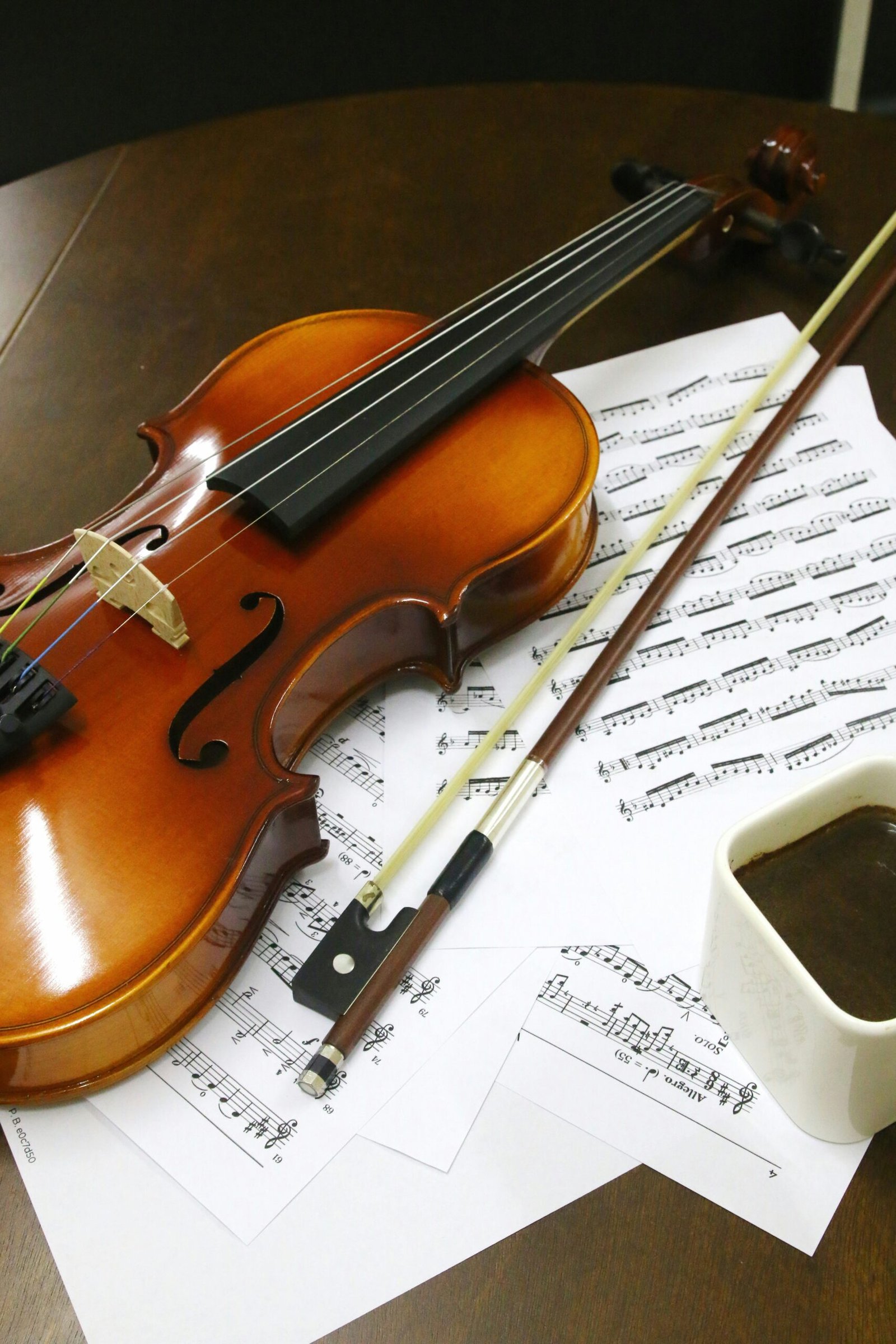 Curso musical – Violín – Módulo 2